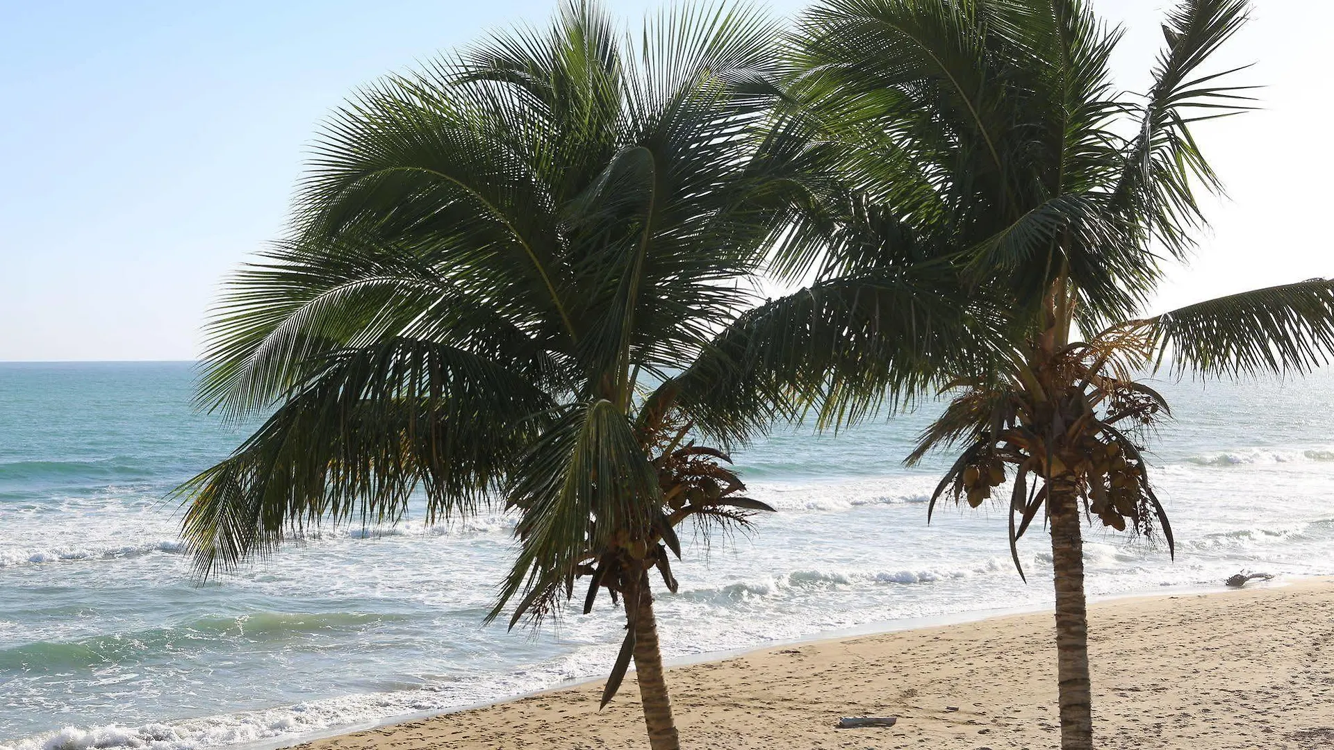 Apartahotel Barefoot Beach Pad Cabarete