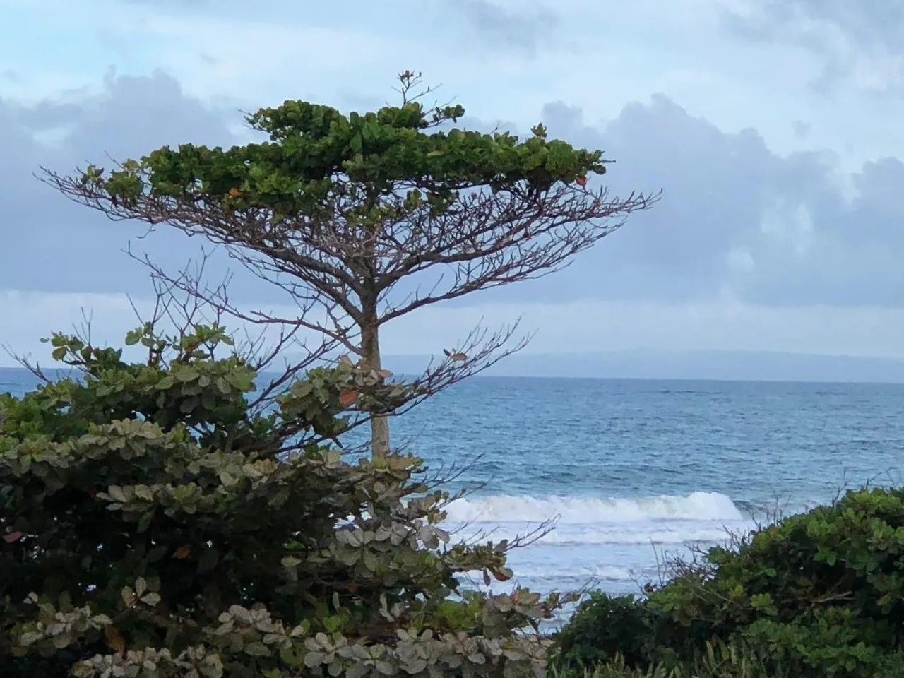 Apartahotel Barefoot Beach Pad Cabarete