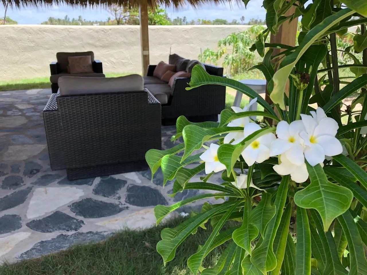 Barefoot Beach Pad Cabarete Apartahotel